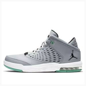 Nike Flight Origin 4 Basketsko Air Jordan Herre Grå Grønn | JD-079LS