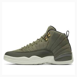 Nike Retro Chris Paul - Class of 2003 Basketsko Air Jordan 12 Herre Grønn | JD-178NF