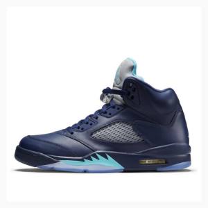 Nike Retro Hornets Basketsko Air Jordan 5 Herre Marineblå | JD-768SP