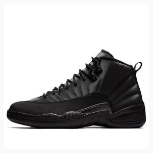 Nike Retro WNTR Winterized - Anthracite Basketsko Air Jordan 12 Herre Svarte | JD-145PW