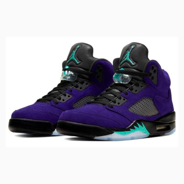 Nike Retro Alternate Grape Basketsko Air Jordan 5 Herre Lilla Svarte | JD-821QC