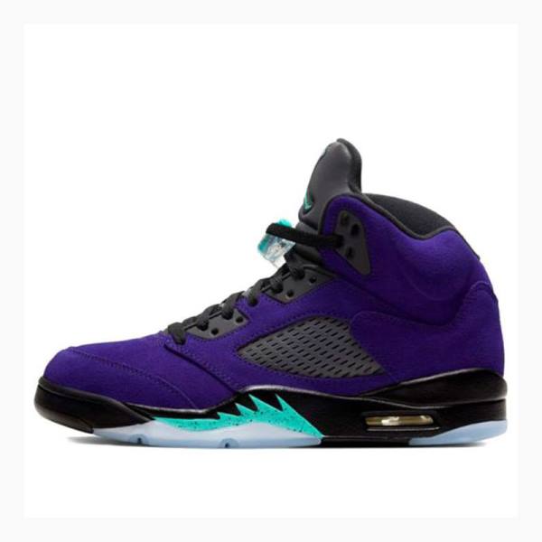 Nike Retro Alternate Grape Basketsko Air Jordan 5 Herre Lilla Svarte | JD-821QC