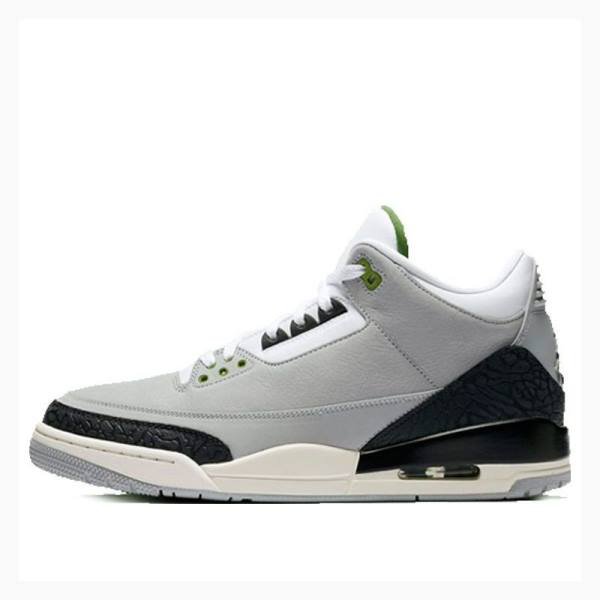 Nike Retro Chlorophyll Basketsko Air Jordan 3 Herre Grå Svarte | JD-207TQ