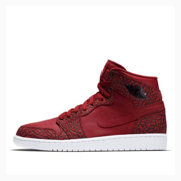 Nike Retro High Gym Cement Basketsko Air Jordan 1 Herre Rød | JD-278JC