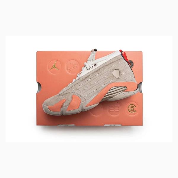 Nike Retro Low CLOT Terra Blush Joggesko Air Jordan 14 Herre Grå Oransje | JD-173ID