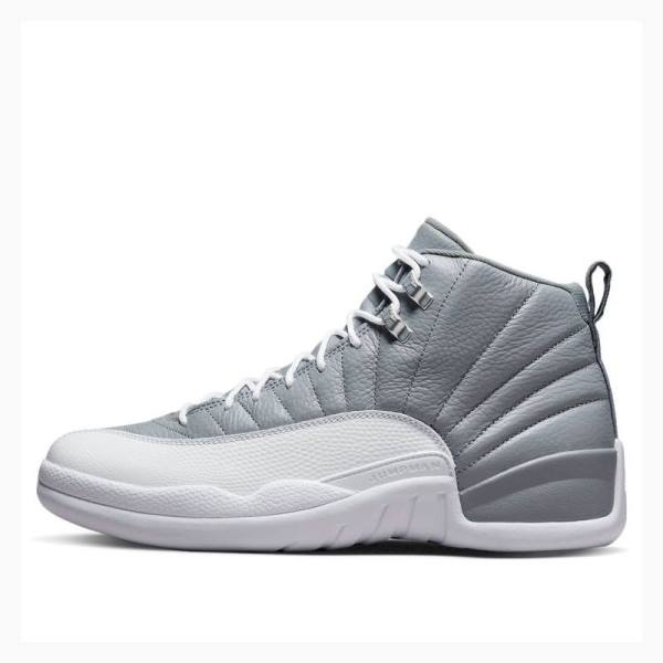 Nike Retro Stealth Basketsko Air Jordan 12 Herre Grå | JD-025SN